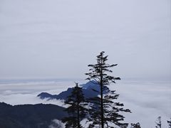 -瓦屋山景区