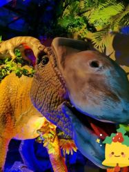 -恐龙探索乐园(磁器口店)