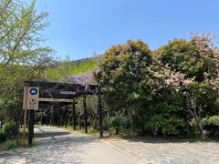 -九龙潭景区
