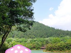 -广州白江湖森林公园