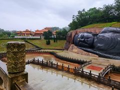 -三水森林公园
