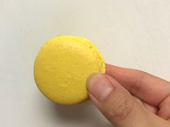 -Monchouchou檬舒舒(尚嘉中心店)