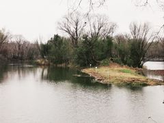 -西溪国家湿地公园