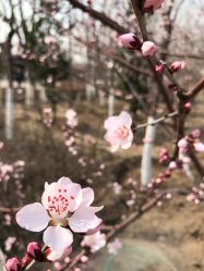 -天津市儿童医院(北辰龙岩院区)
