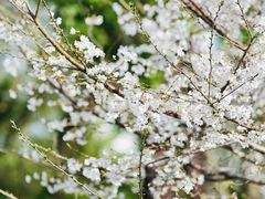 -西北湖绿化广场