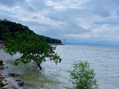 -深圳湾公园(南山区)