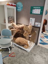 -奈尔宝·儿童乐园·亲子餐厅(华采天地店)