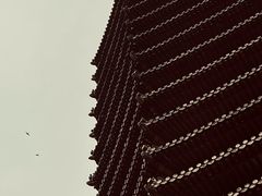 -玲珑塔公园