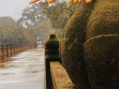 -南山植物园