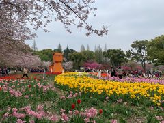-苏州上方山国家森林公园