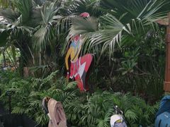 -南宫五洲植物乐园