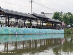 -陶辛水韵