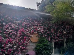-京北渔家傲