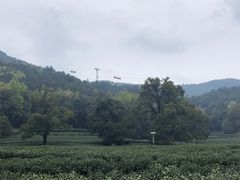 -灵顺寺