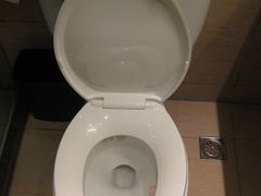 马桶里飘着花瓣-新纪元大酒店