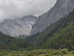 -稻城亚丁景区-冲古草甸