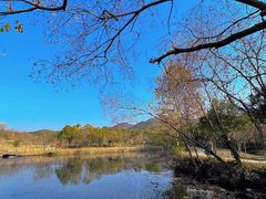 -黄陂区野村谷景区