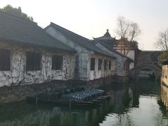 -鲁镇