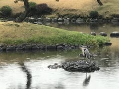-水前寺成趣园