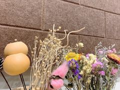 -藏猫猫咖啡主题馆(中央大道店)