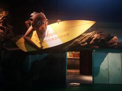 -杭州开元森泊度假乐园