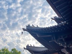 -杭州半山国家森林公园