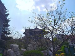 -张学良旧居陈列馆