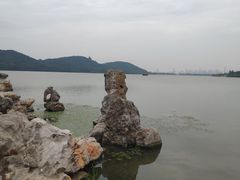 -东湖落雁景区