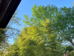 -杨家埠民间艺术大观园