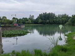 -合肥生态公园