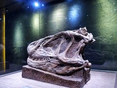 -自贡恐龙博物馆