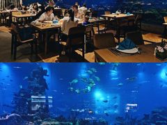 大堂-海棠湾洲际-涛·海底餐厅·美人鱼·自助餐·海底隧道