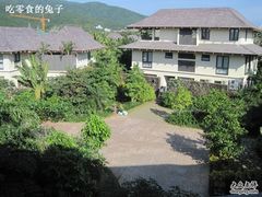 IMG_2243-三亚亚龙湾五号度假别墅酒店