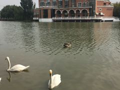 -银树楼(紫玉山庄东区店)