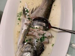 -梦都海鲜酒家(万达广场江桥店)