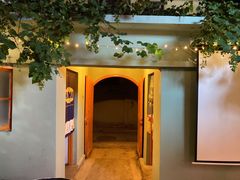 -ZING鲸鱼啤酒(葡萄院店)