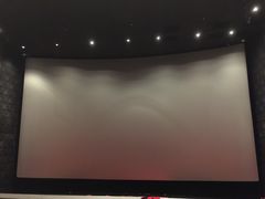 Palace&nbsp;Cinema百丽宫影城(大慈寺太古里店)-成都百丽宫影城(LUXE太古里店)
