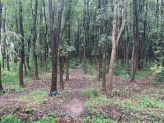 -同里国家湿地公园