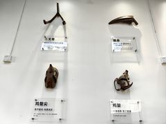 -萍姨抻面馆·鸡架冒菜(清湖店)