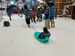 -世界之窗阿尔卑斯冰雪世界