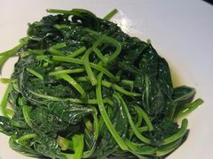 红薯叶-凤凰湘语(浦东旗舰店)