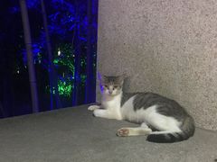 -上海怡沁园度假酒店