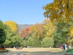 -灵谷景区