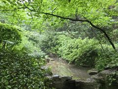 -杭州半山国家森林公园