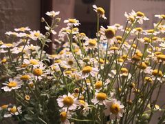 -米粒咖啡小屋(国贸店)