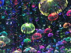 -上海梵高星空艺术馆(南京路旗舰店)