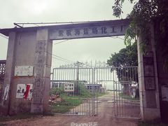 莺歌海盐场-莺歌海盐场