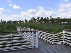 -春花秋色城市公园