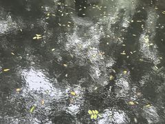 -迎泽公园