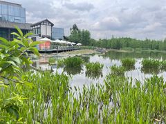 -白鹭湾湿地公园